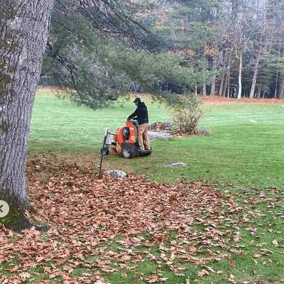 What we do - image of fall yard clean up.